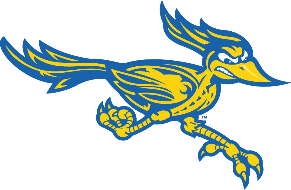 CSU Bakersfield Roadrunners 2006-Pres Alternate Logo v2 diy DTF decal sticker